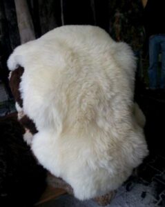 Mother's Day gift TOP 8 fun and original gifts eliassen.co.uk 1