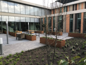 Die schönsten länglichen Pflanzgefäße für drinnen und draußen eliassen.nl