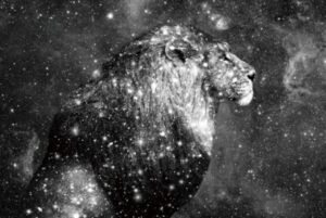 The 10 most beautiful animal glass paintings eliassen.co.uk 7