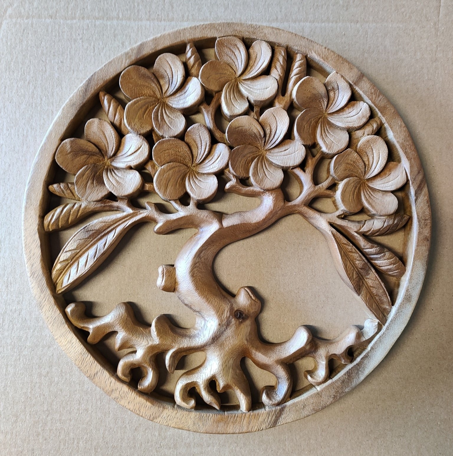 images 16687744110686972904478018047840