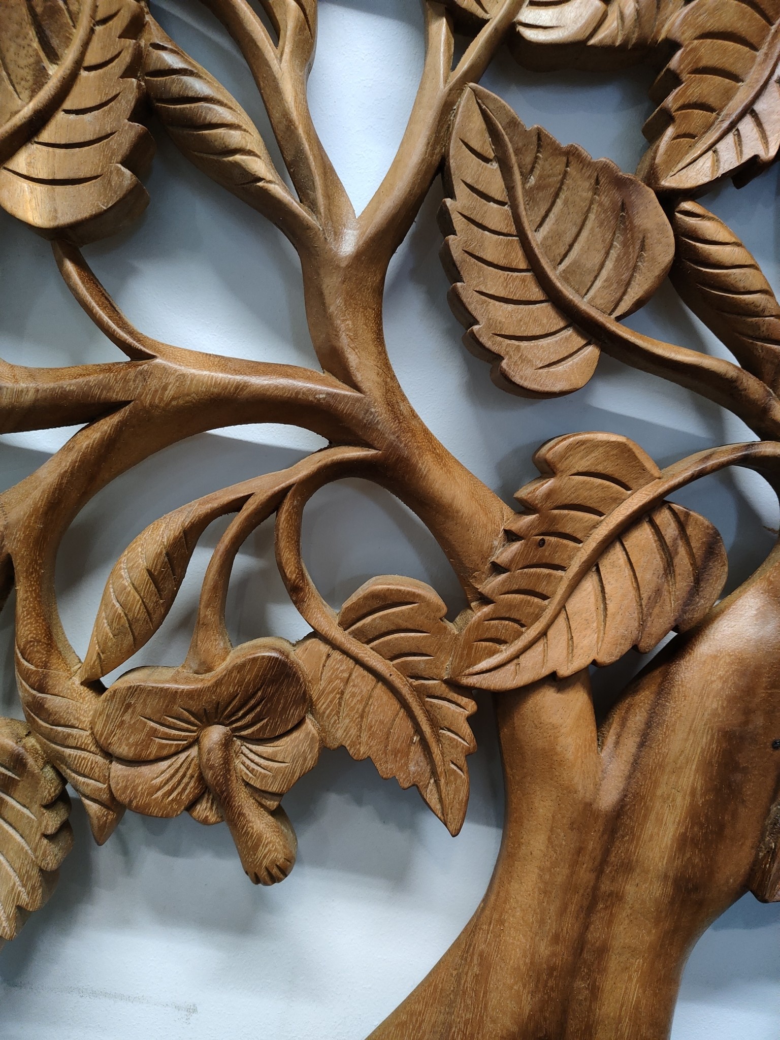 images 166902932741936174715088037202