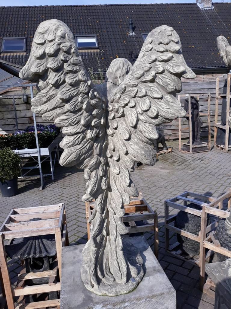 images 20170921-111159