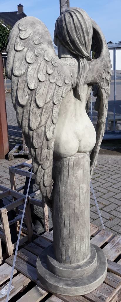 images 20170921-111208