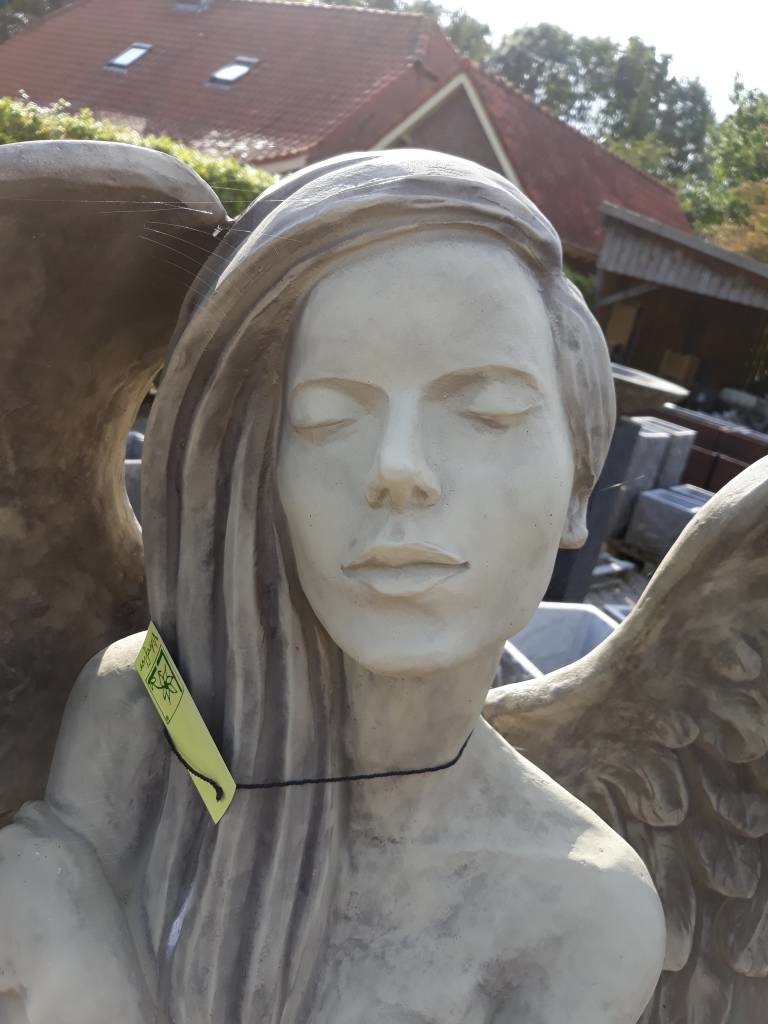 images 20170921-111217