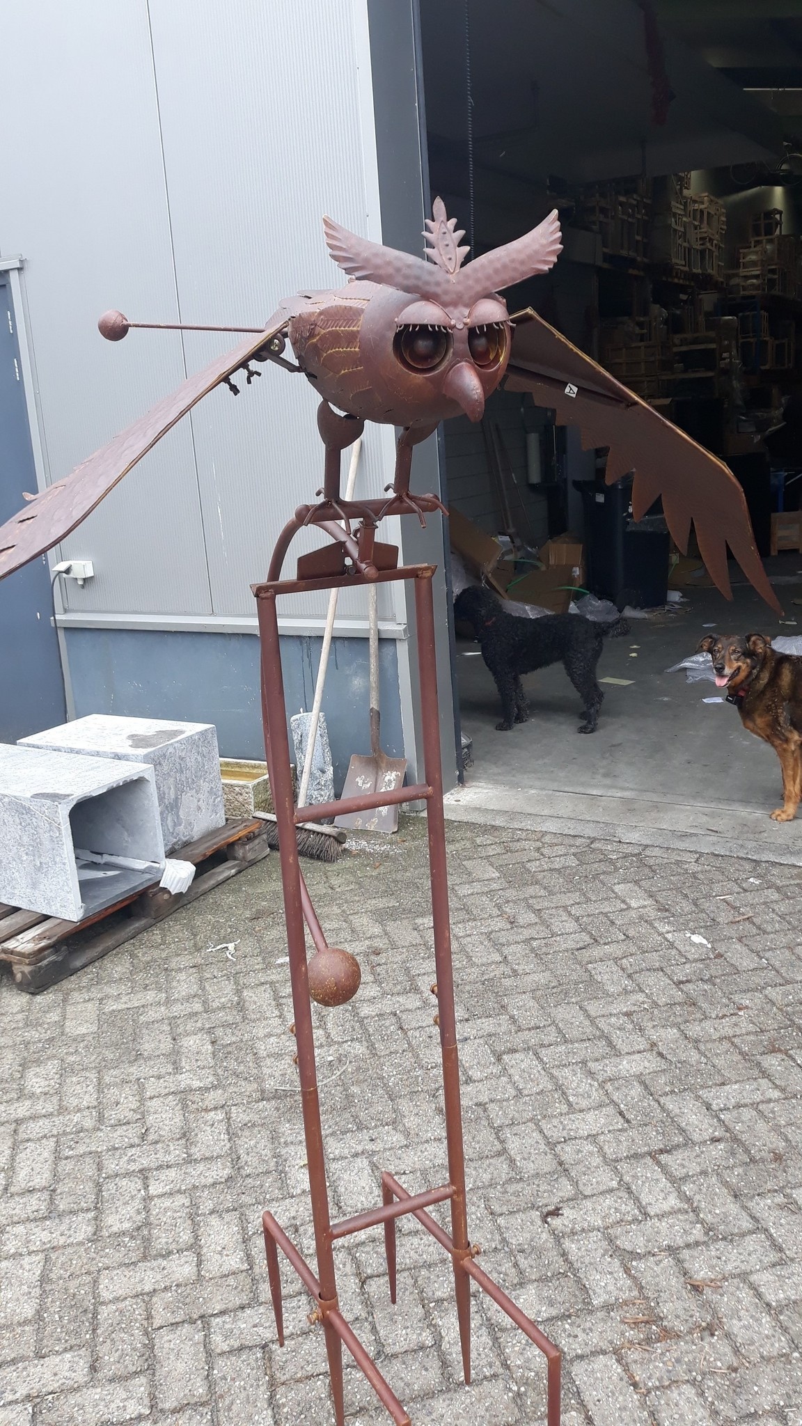 images 20190809-162228