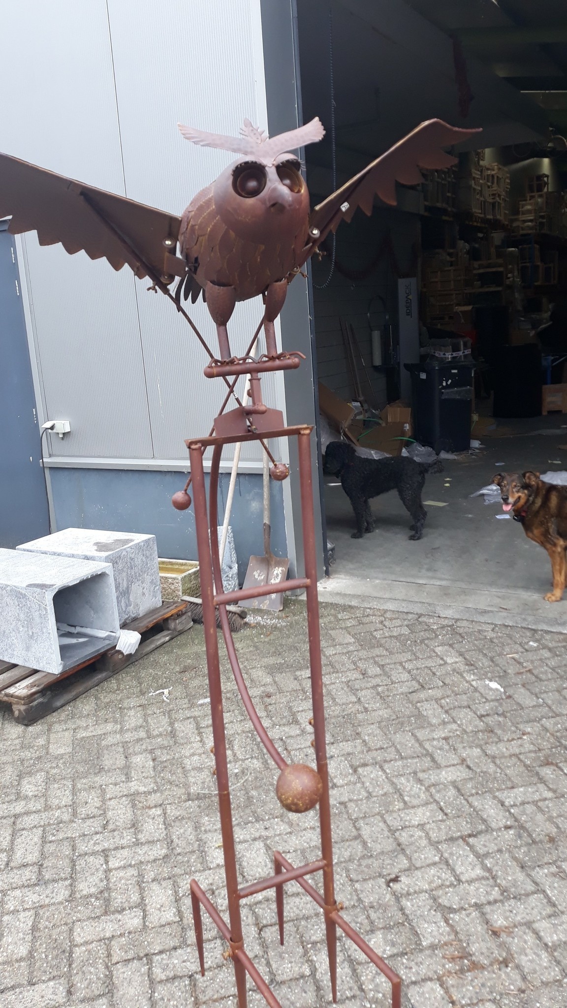 images 20190809-162230