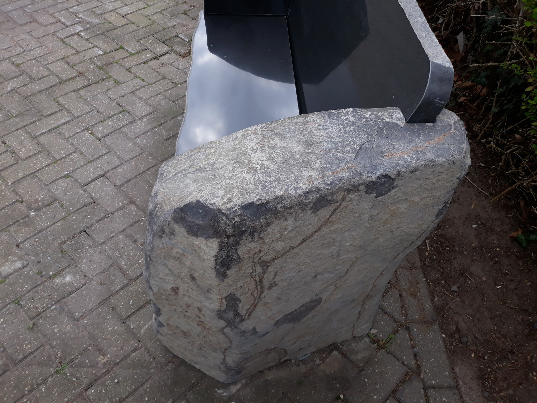 images 20200403_140950