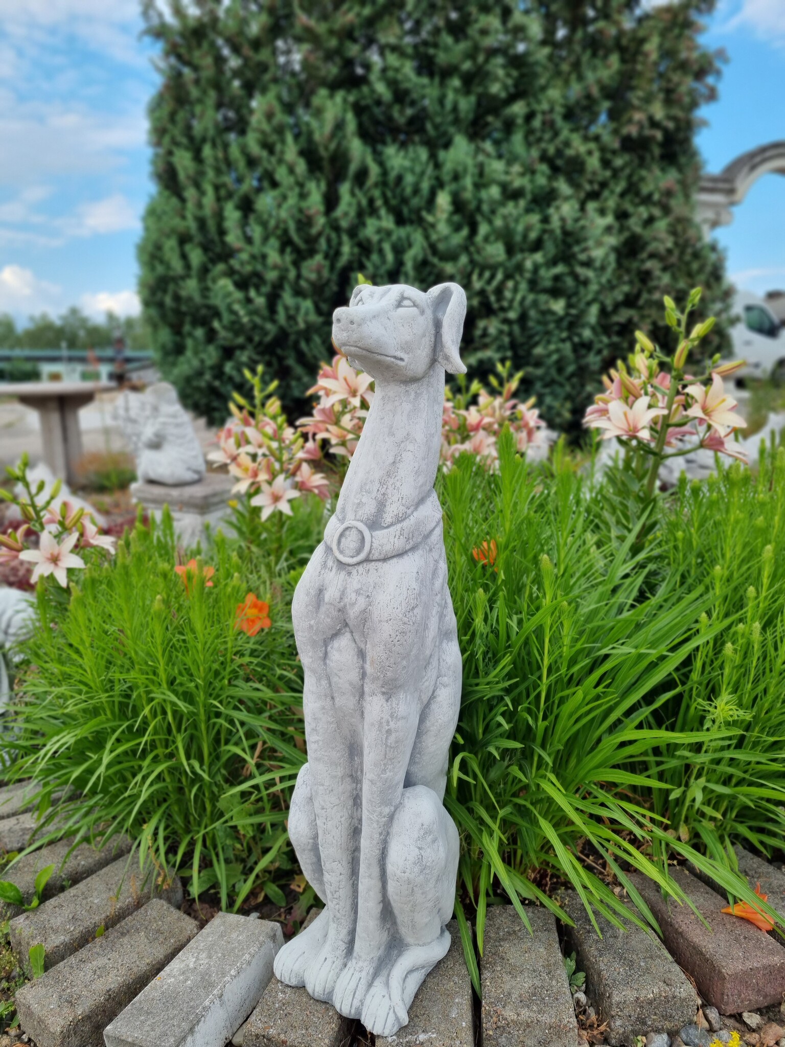 images 20230618_174016