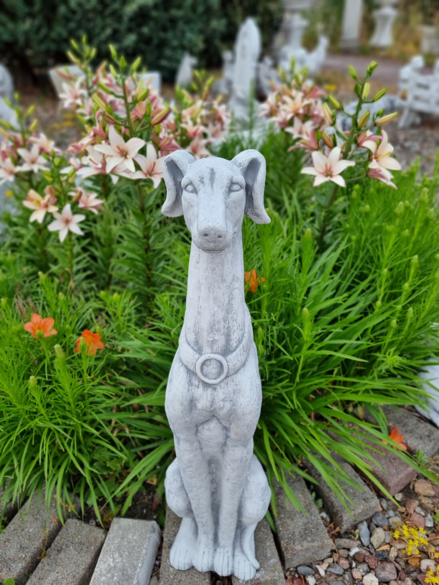 images 20230618_174126