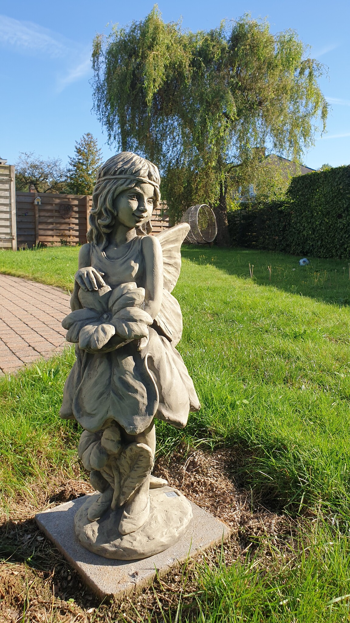 images 20230905_171722