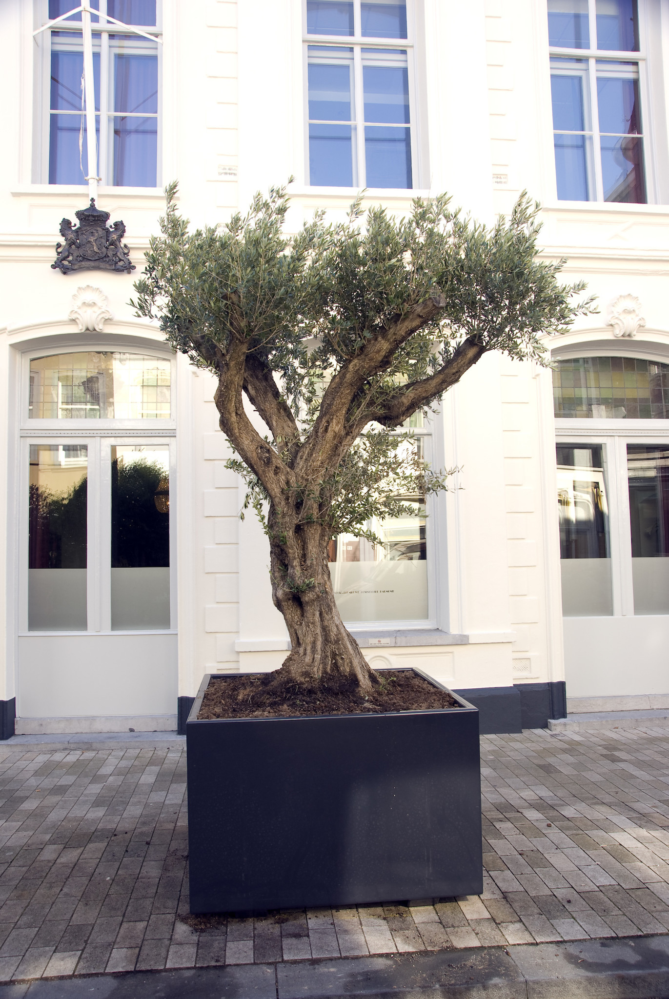 images ADEZZ Aluminum (30)