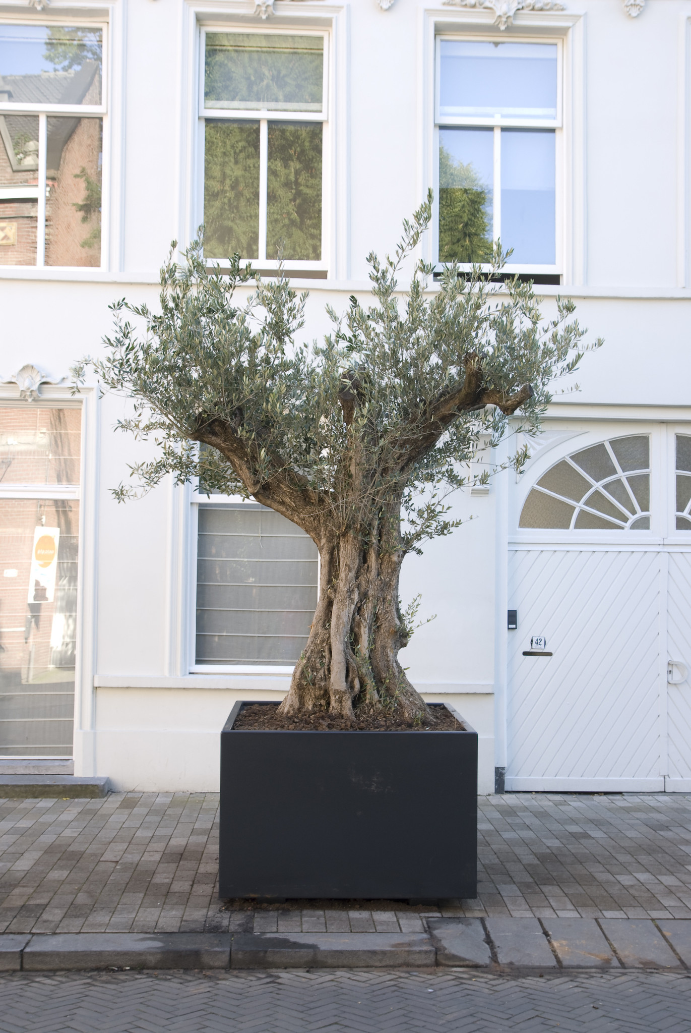 images ADEZZ Aluminum (31)