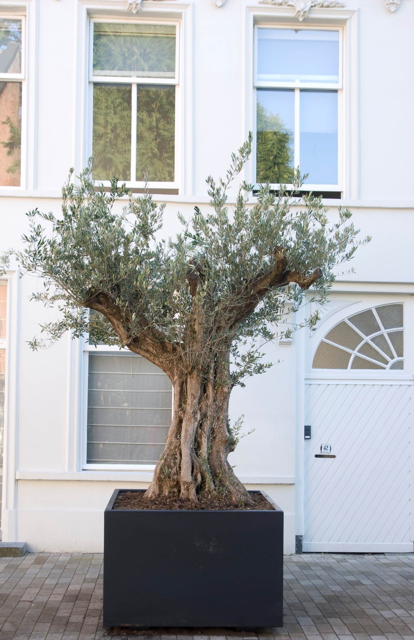 images ADEZZ Aluminum (46)