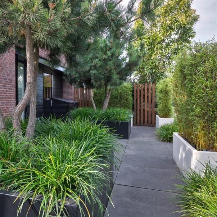 images Adezz Plantenbak Aluminium CARREZ zonder bodem 3