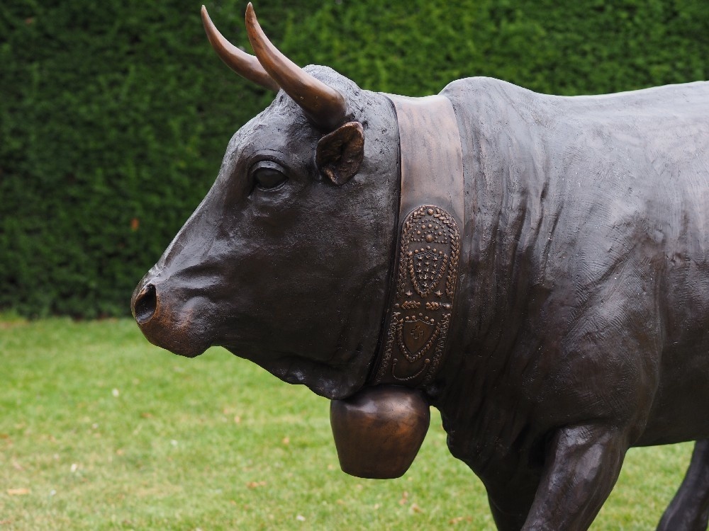 images b47345-detail