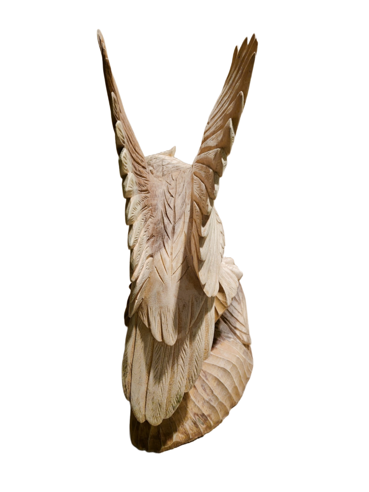 images beeld-hout-uil-met-jongen-40cm 2