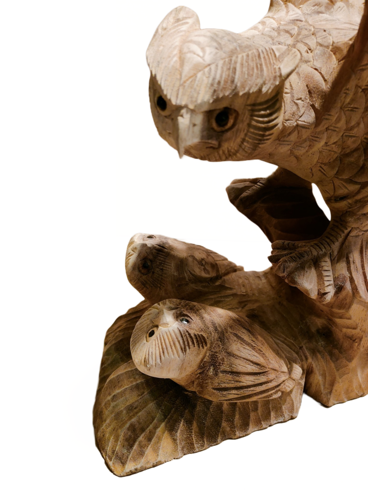 images beeld-hout-uil-met-jongen-40cm 4