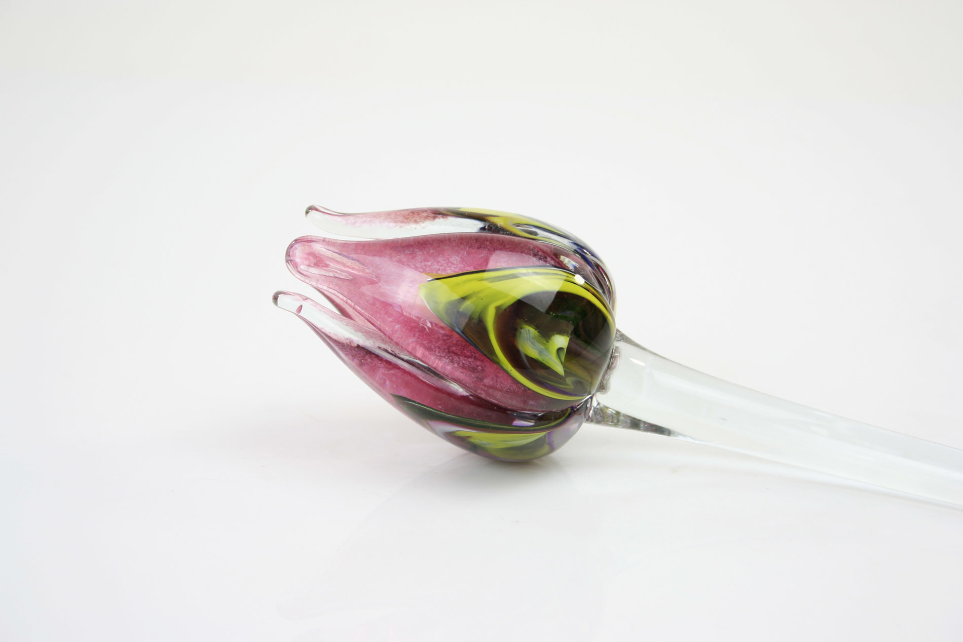 images Eliassen Bloem glas Tulp multi roze