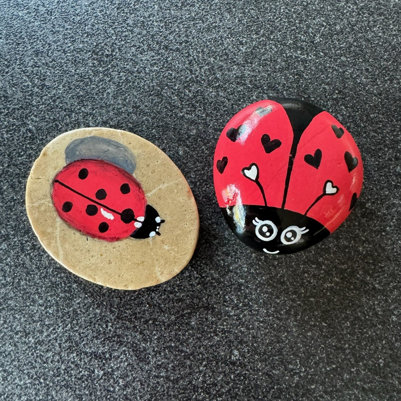 images Eliassen de beste stenen keien voor beschildering happy stones schijfjes bruin