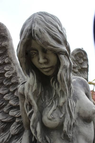 images eliassen-img-5290-01465