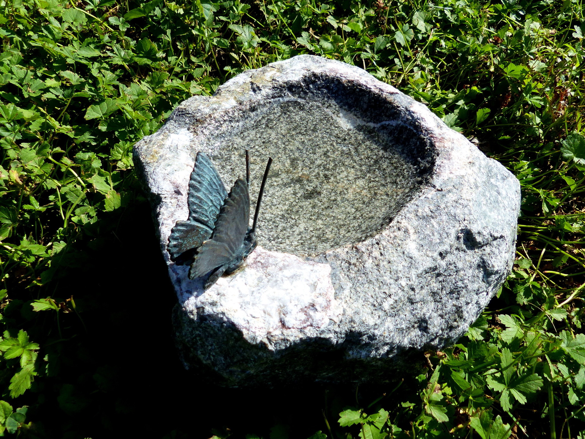 images Eliassen Insecten drinkplaats met bronzen vlinder