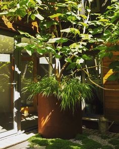 images Eliassen Plantenbak Cortenstaal Rond 2