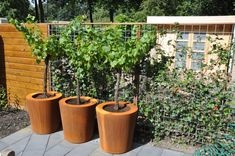 images Eliassen Plantenbak Cortenstaal Rond 6