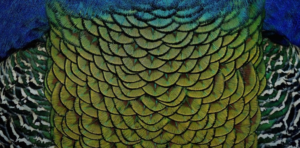 images Eliassen Wandkraft Schilderij dibond rvs Sierlijk 98x48cm