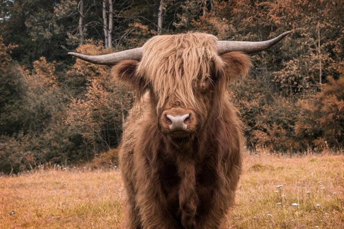 images GLAS080120-954