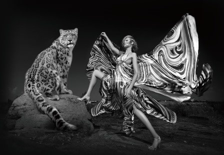 images GLAS110160-107