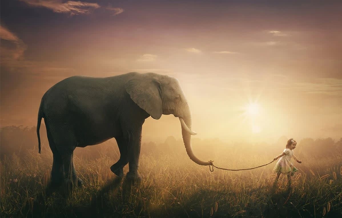 Glasschilderij Meisje met olifant - Eliassen.nl