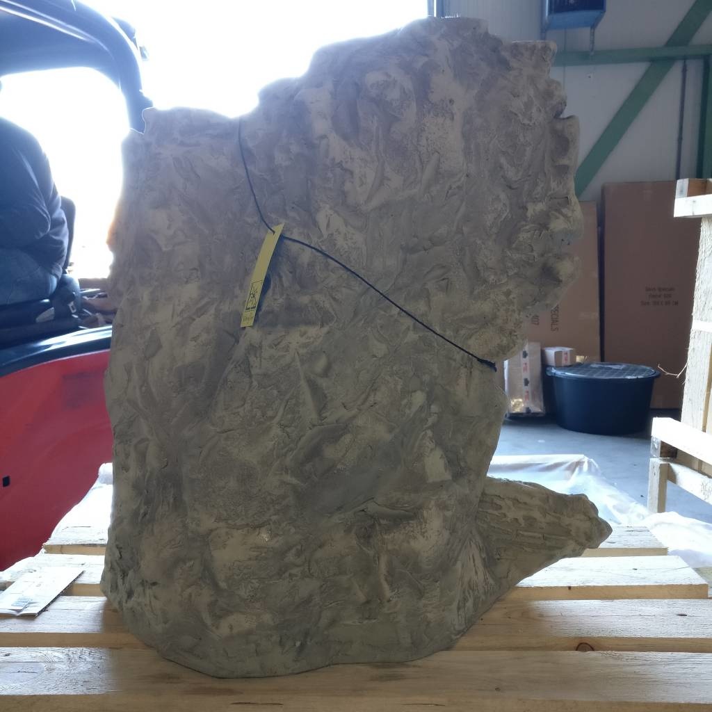 images img-20190223-114043