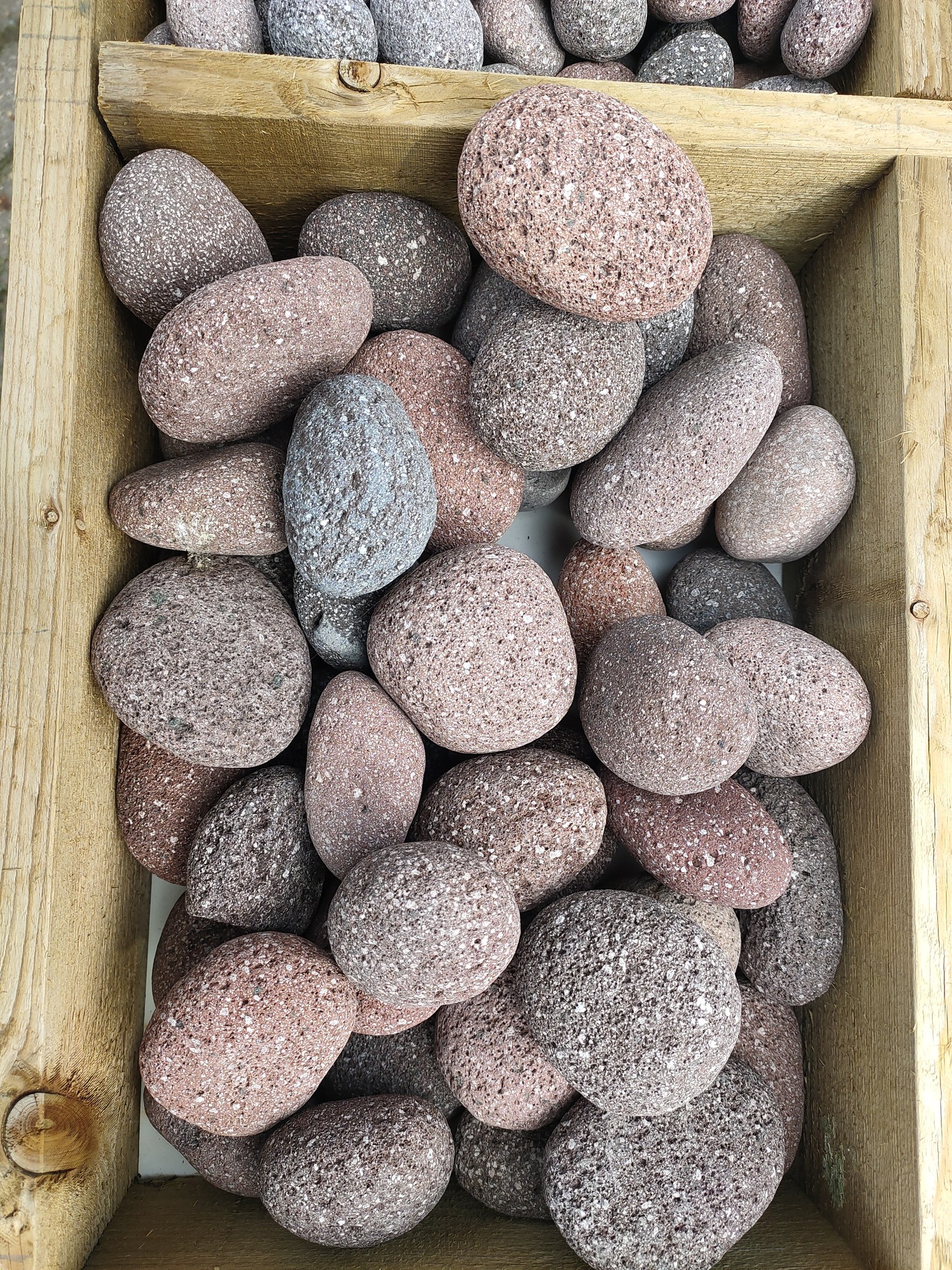 images IMG20210707165002