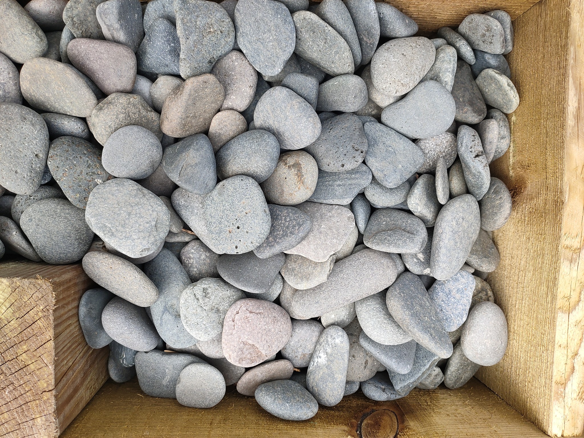 images IMG20210707165050