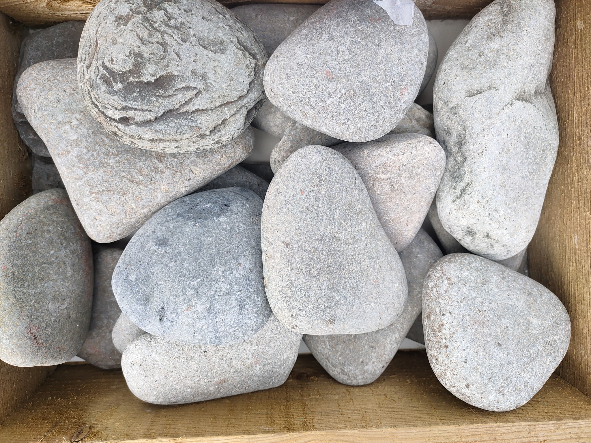 images IMG20210707165056