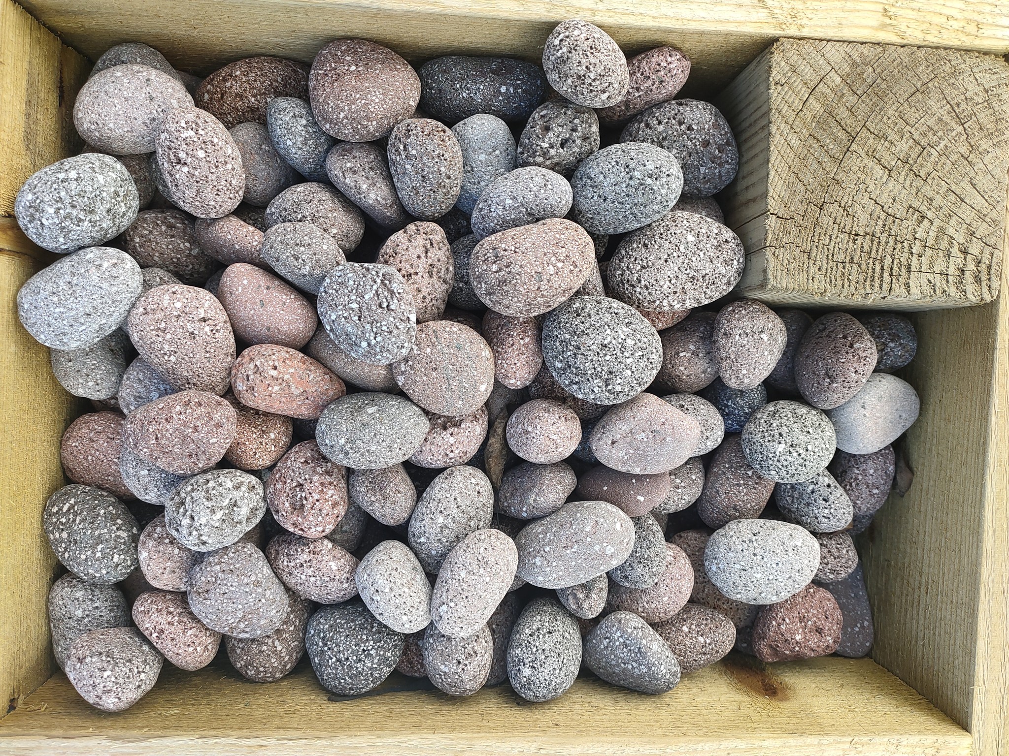 images IMG20210708112850