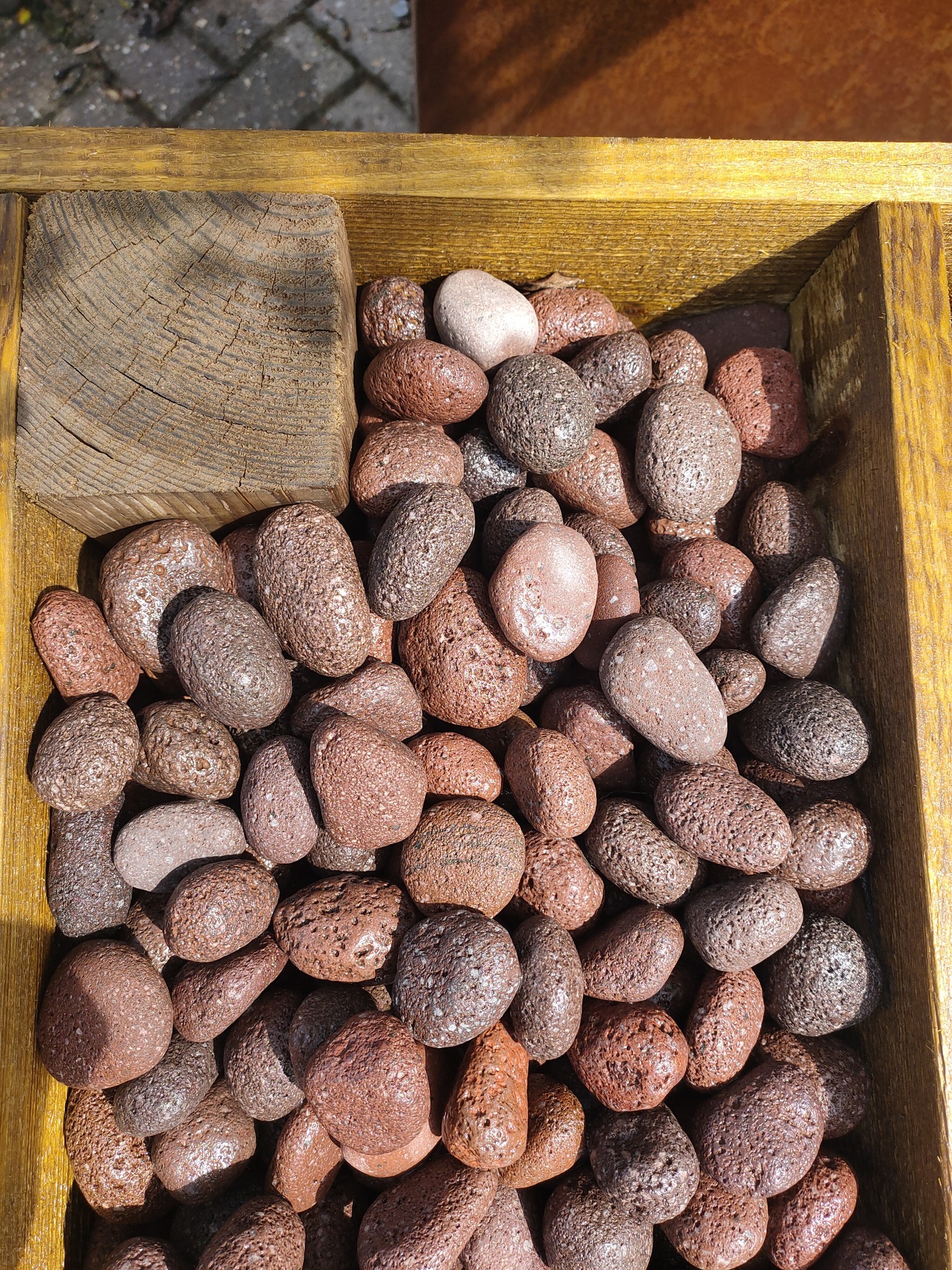 images IMG20210708151243