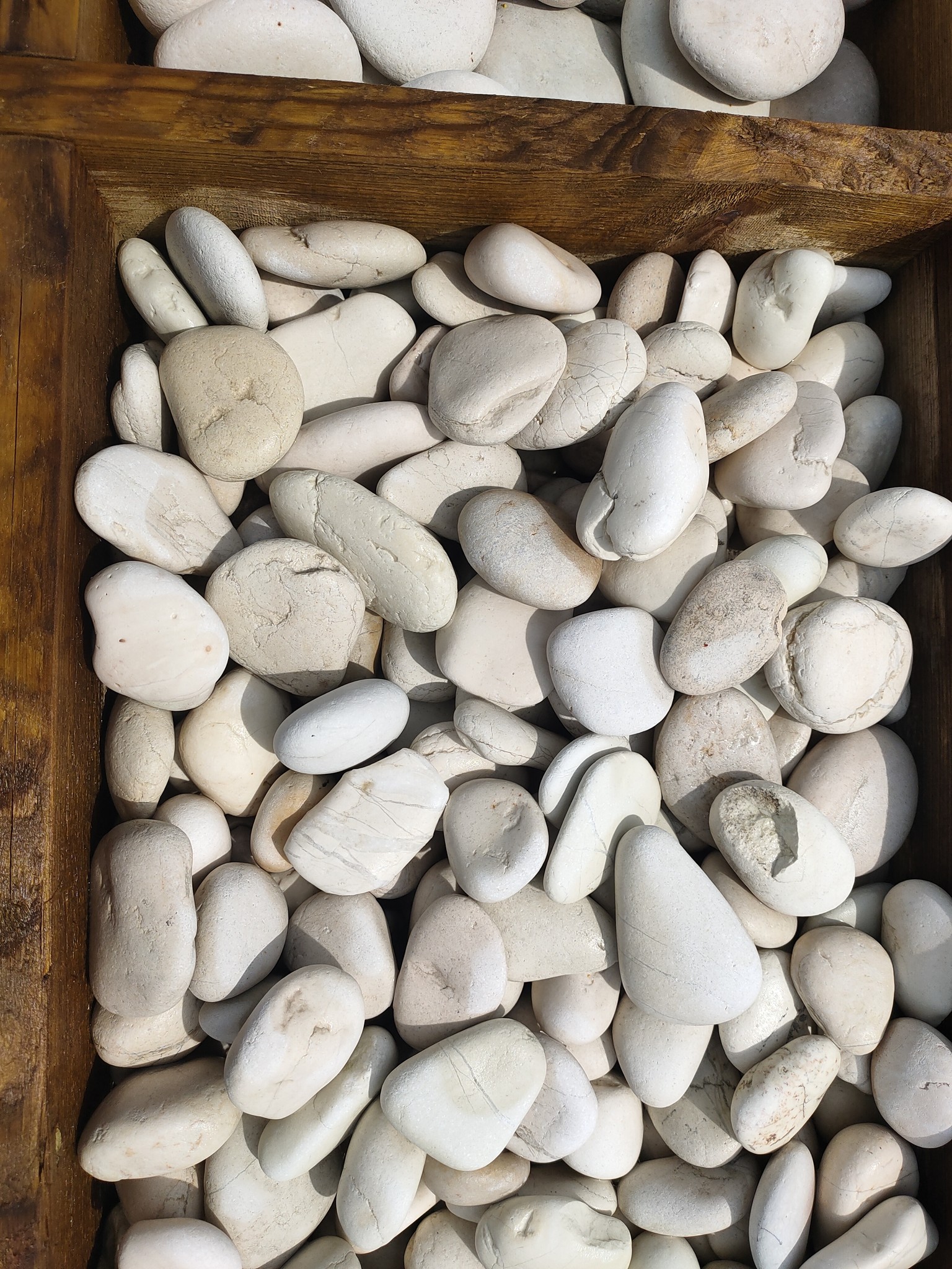 images IMG20210708151259