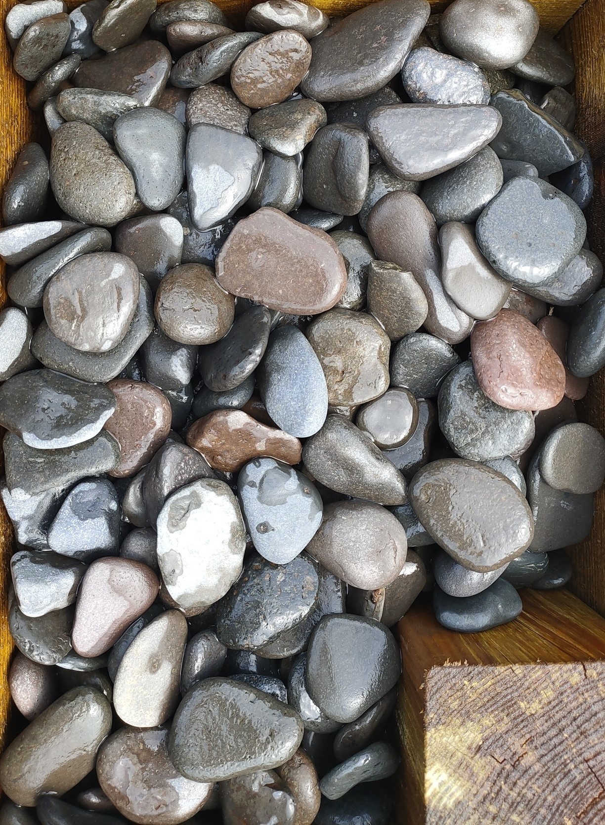 images img20210708151503 (2)