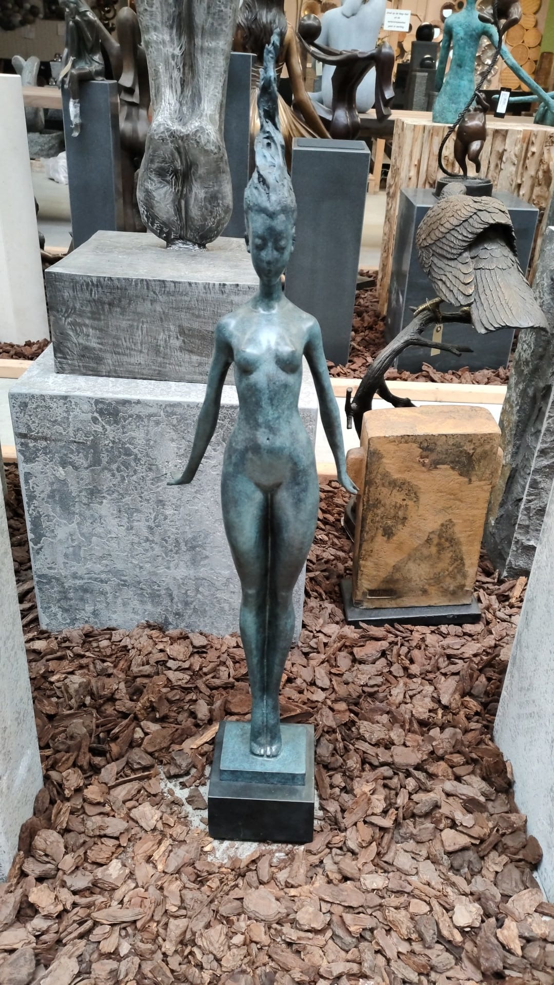 images IMG-20221202-WA0003