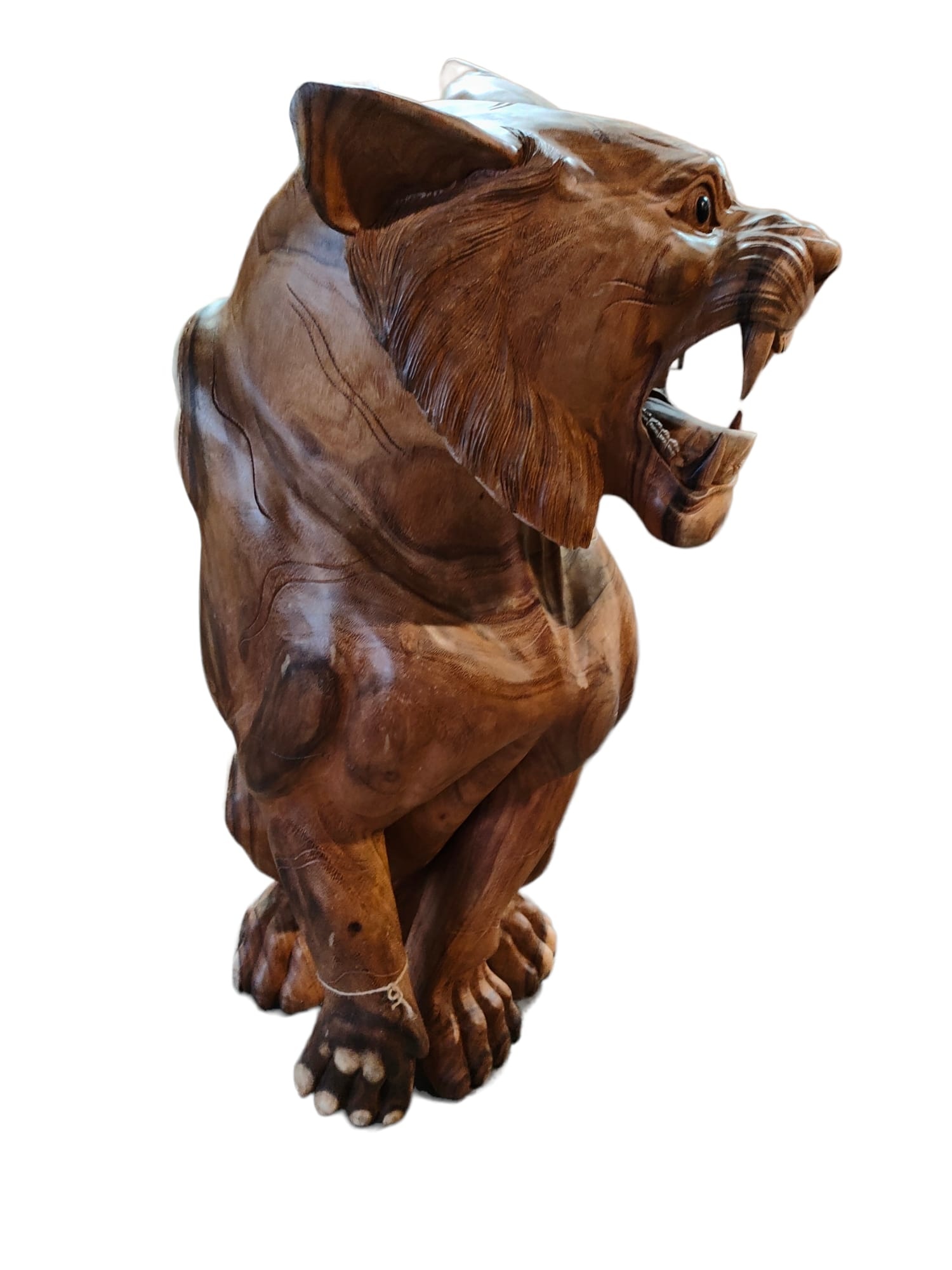 images IMG-20230120-WA0010