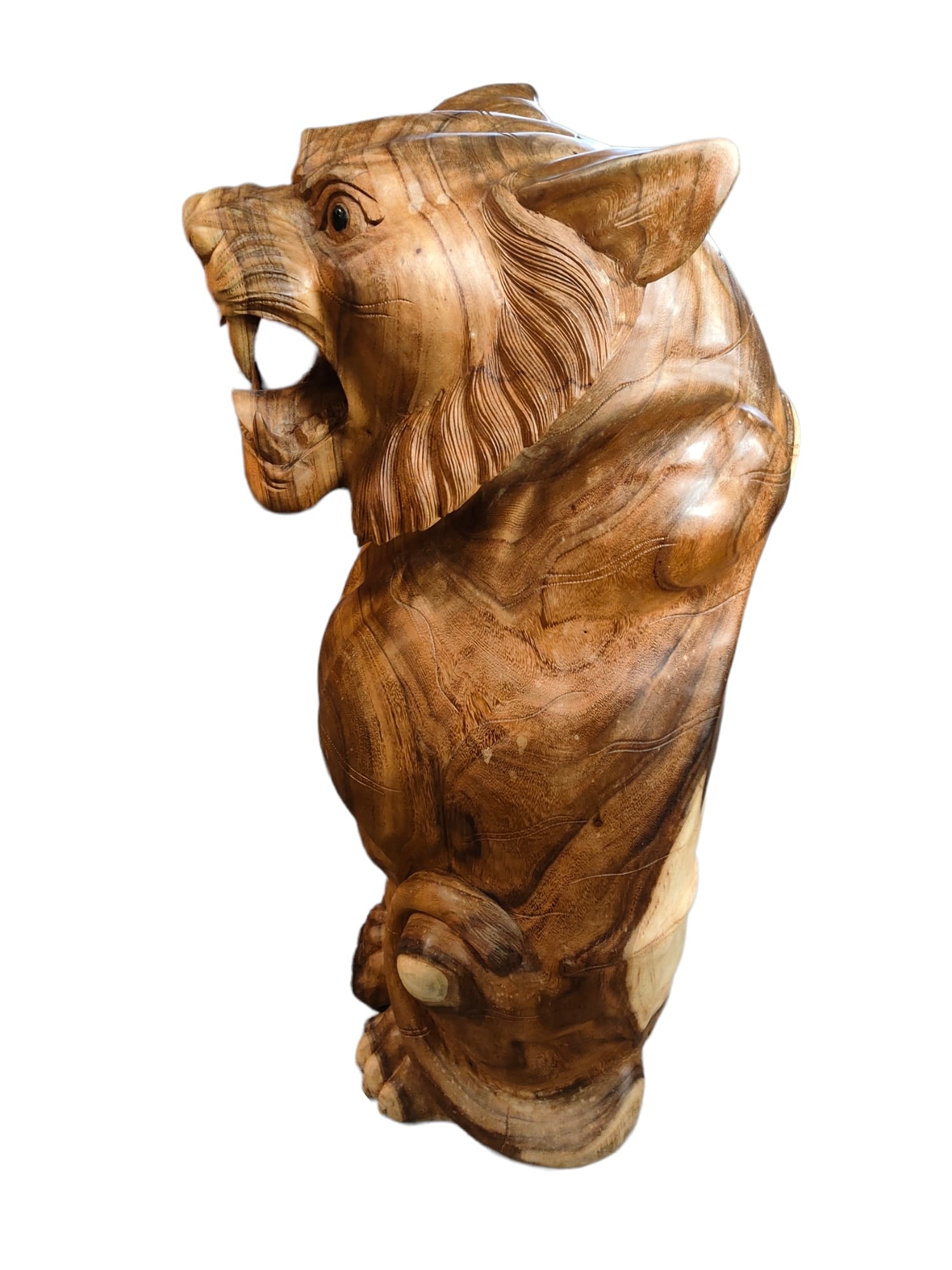 images IMG-20230120-WA0011