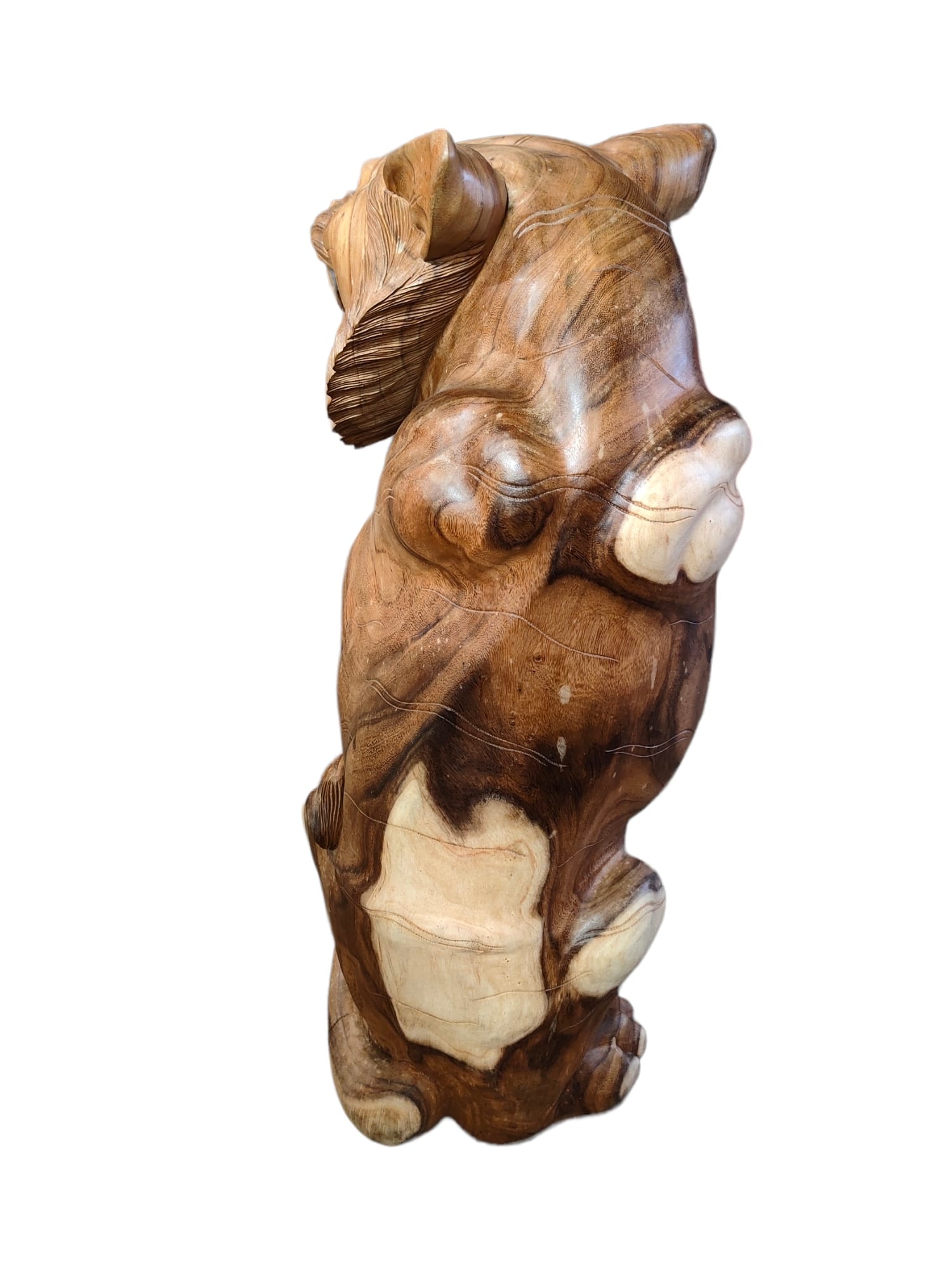 images IMG-20230120-WA0012