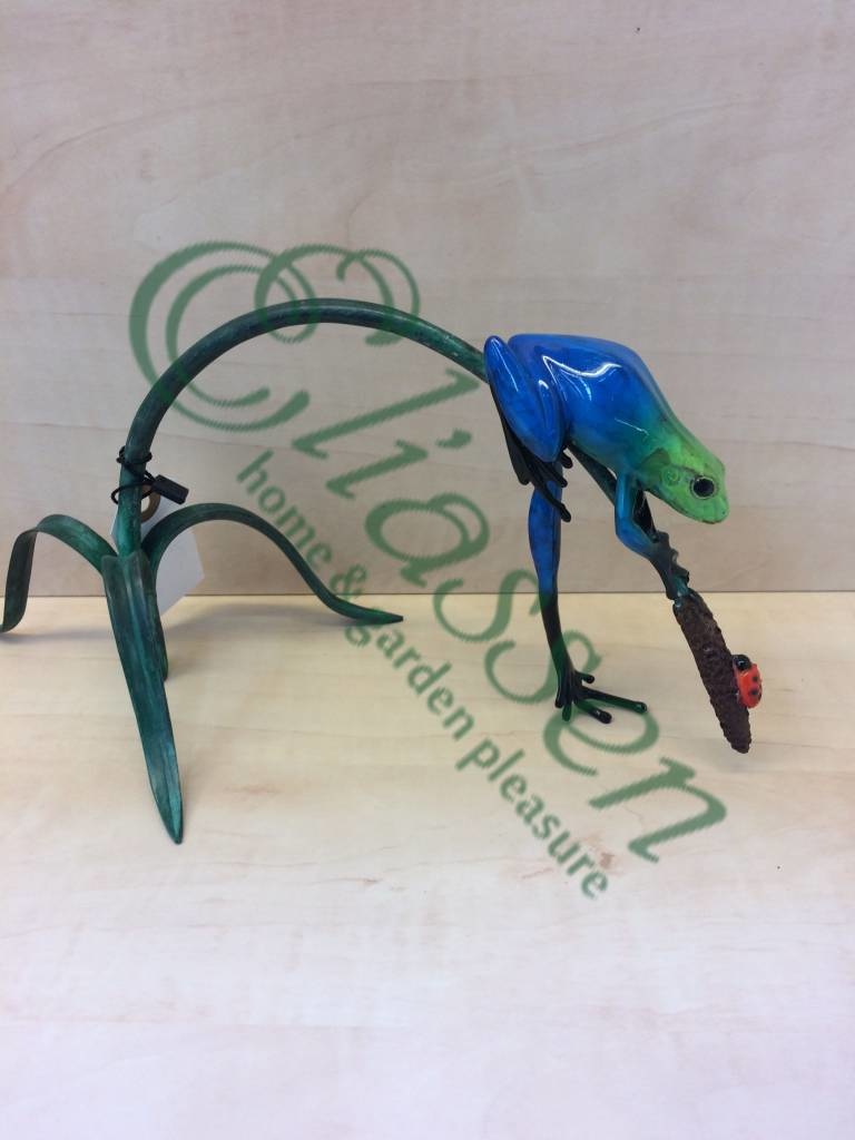 images img-4288-watermarked