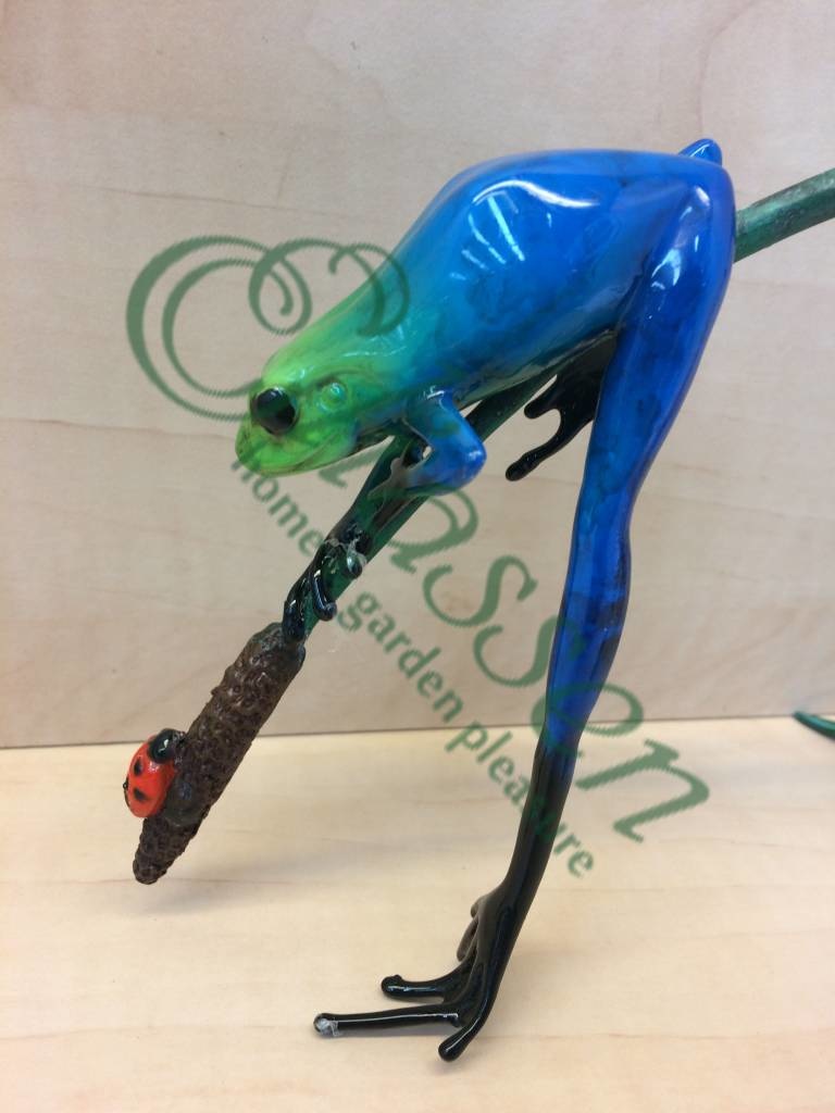 images img-4290-watermarked