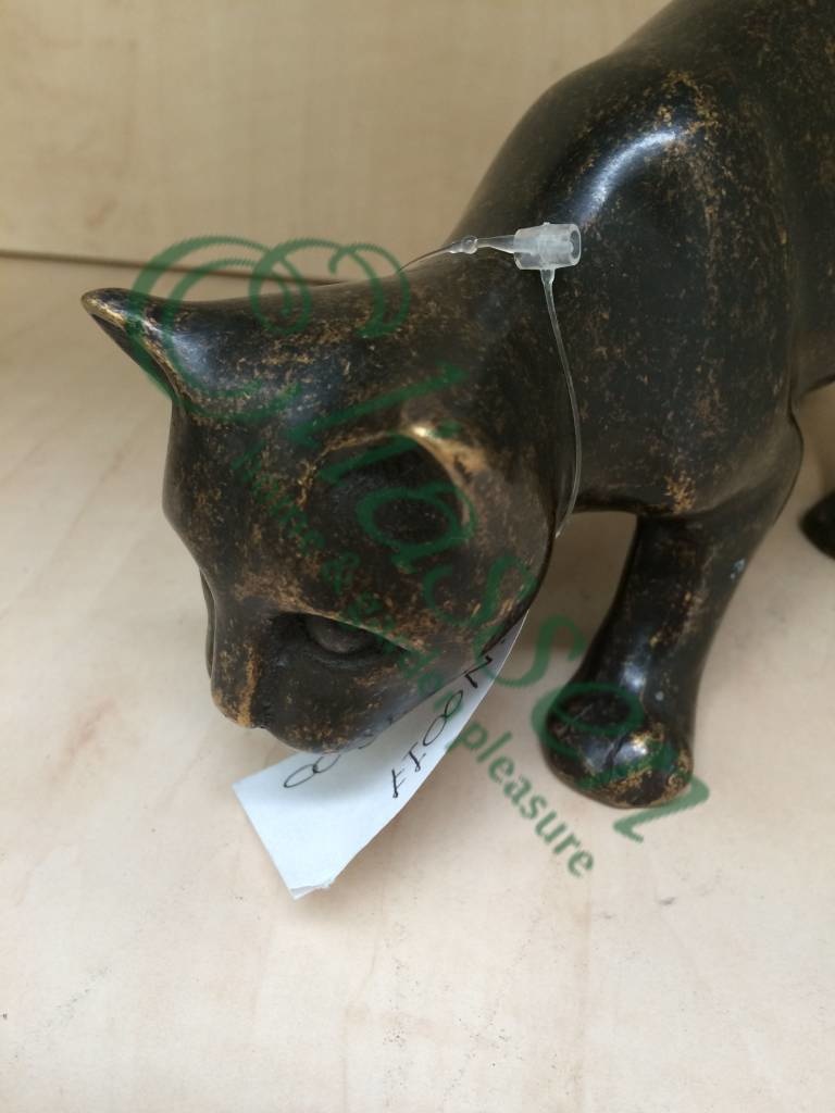 images img-4570-watermarked