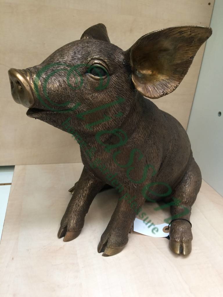 images img-4596-watermarked