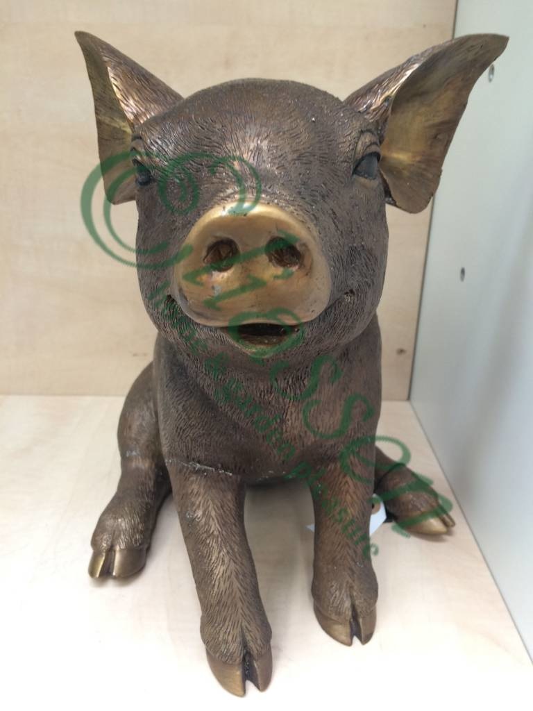 images img-4598-watermarked