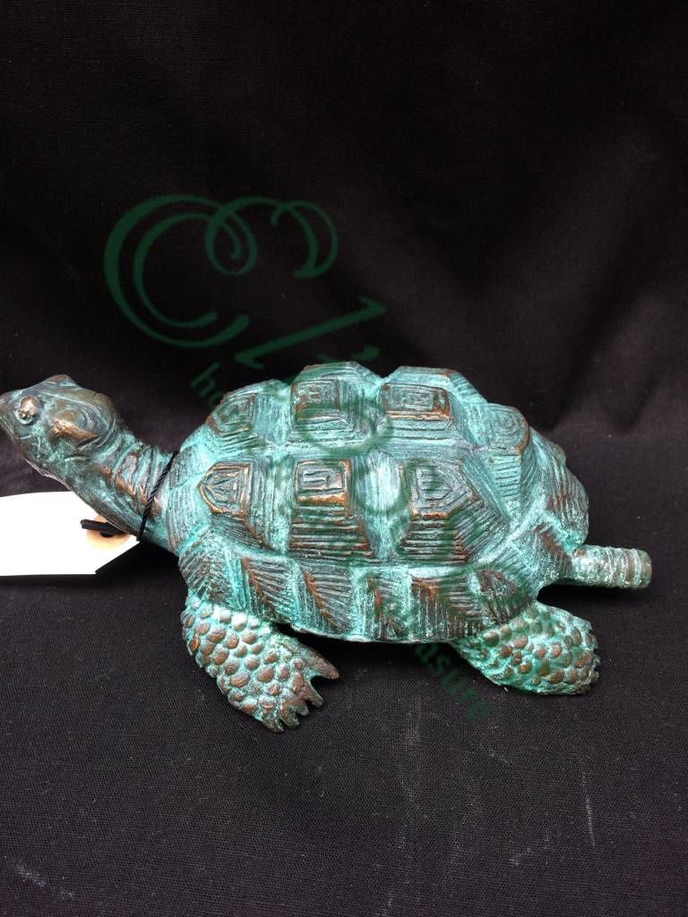 images img-4737-watermarked