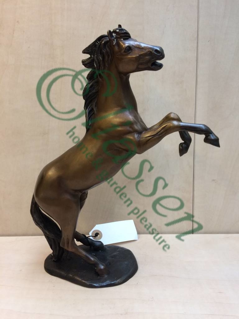 images img-5092-watermarked